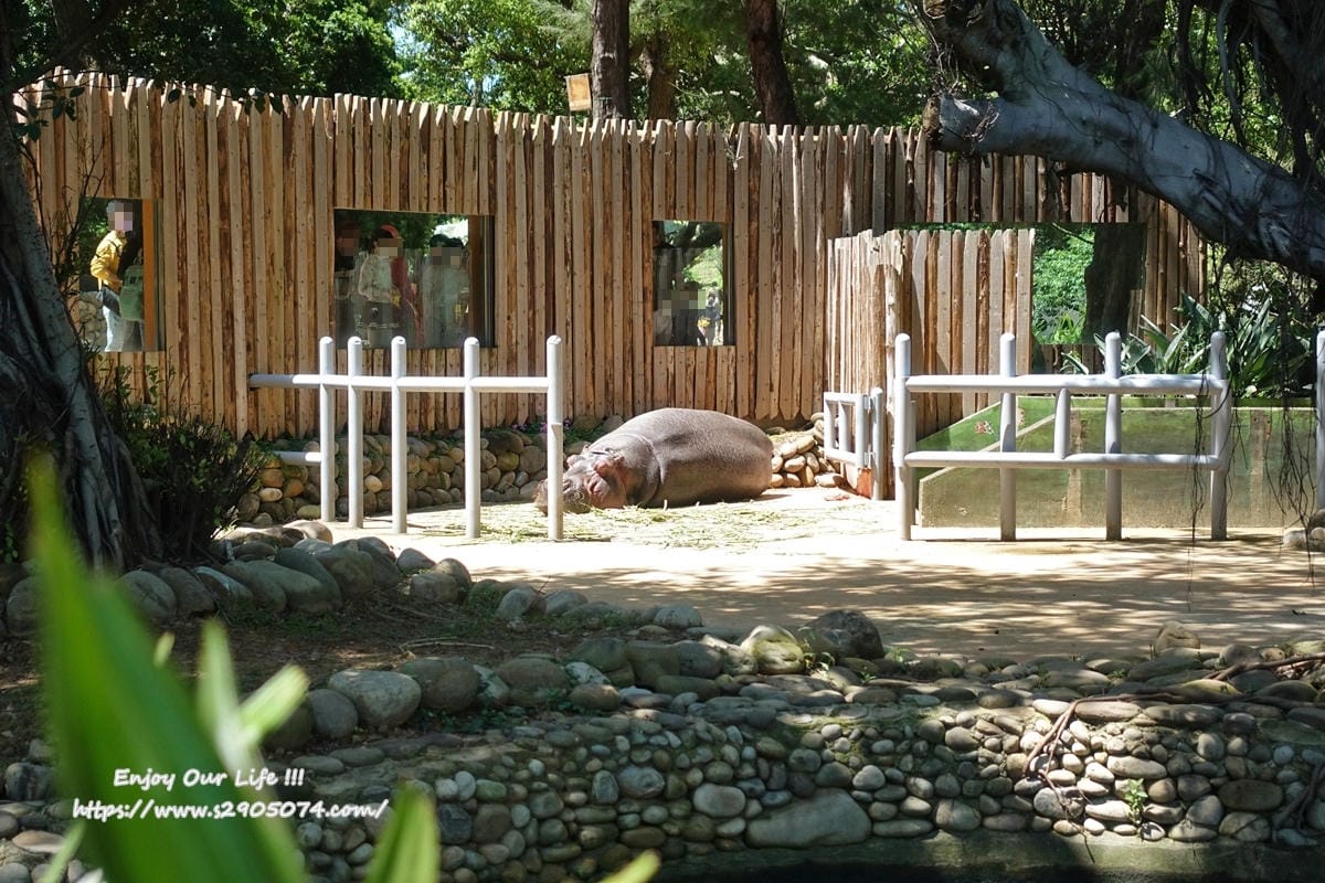 DSC08792.jpg 新竹市立動物園