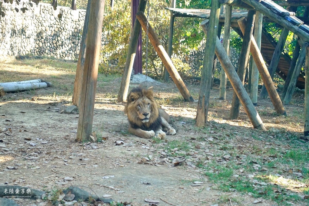 壽山動物園DSC03630152.jpg 壽山動物園DSC03630152.jpg