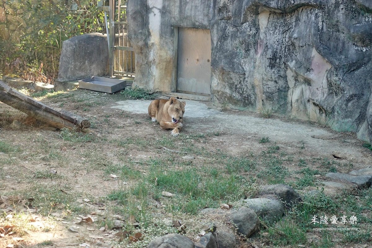 壽山動物園DSC03633155.jpg 壽山動物園DSC03633155.jpg