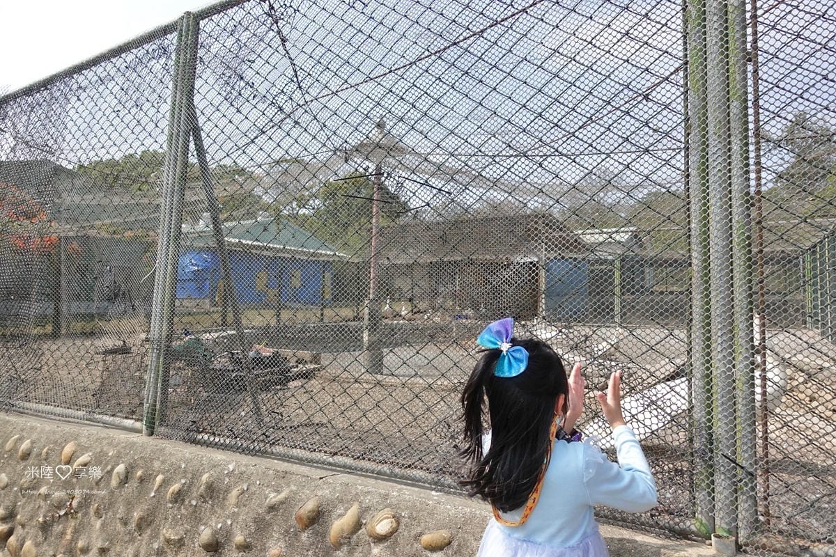 東海大學DSC04074.jpg 東海大學DSC04074.jpg