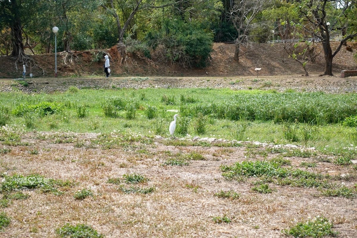 東海大學DSC04251.jpg 東海大學DSC04251.jpg