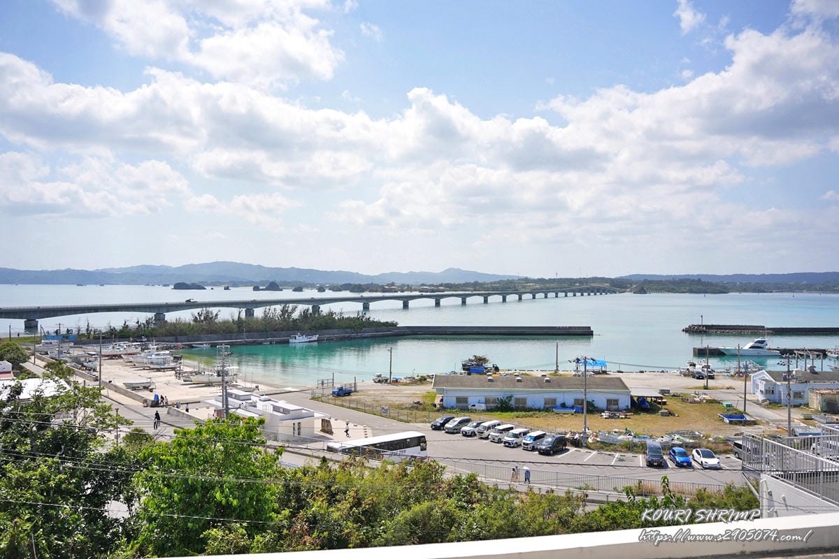沖繩蝦蝦飯DSC01379.jpg 沖繩蝦蝦飯DSC01379.jpg