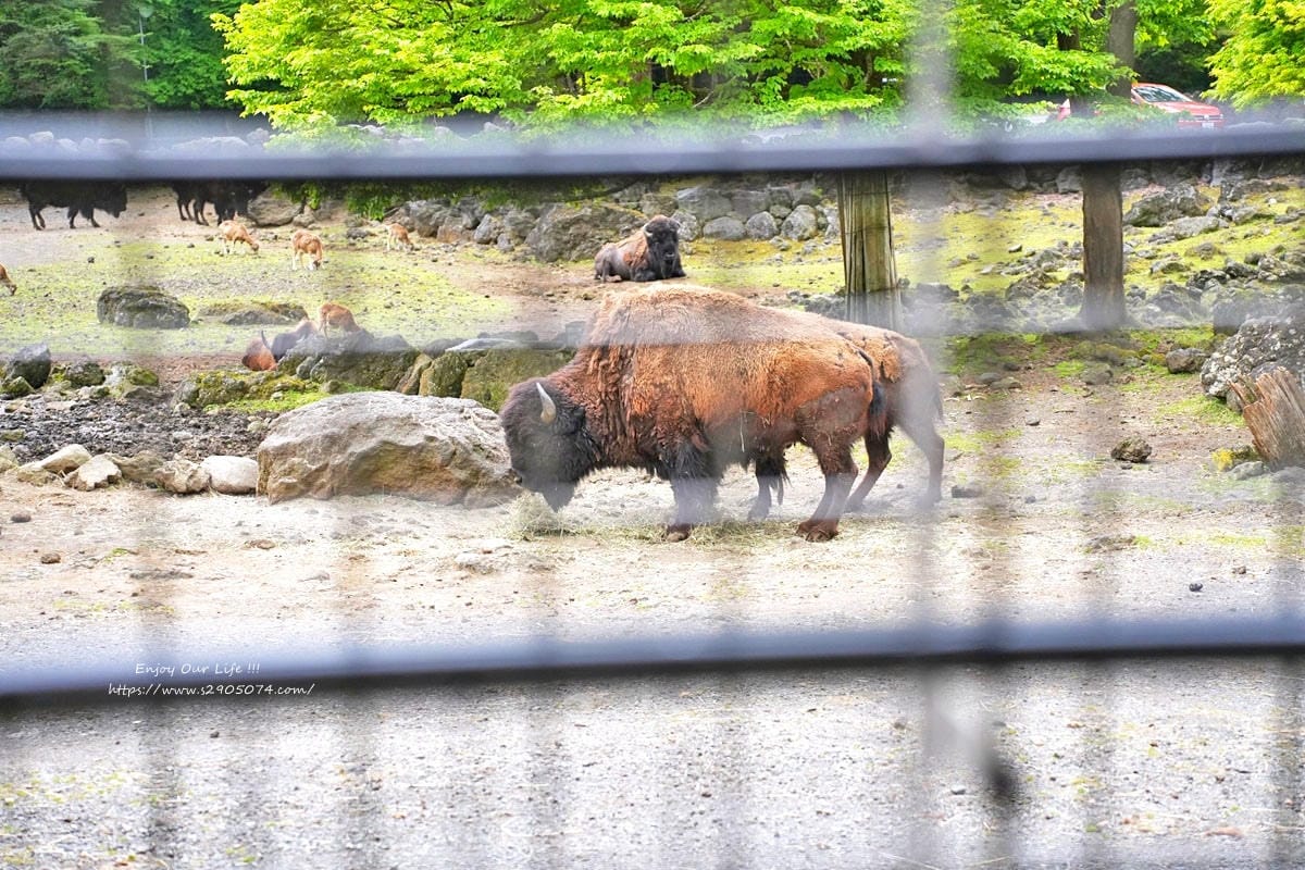富士動物園DSC06448.jpg 富士動物園DSC06448.jpg