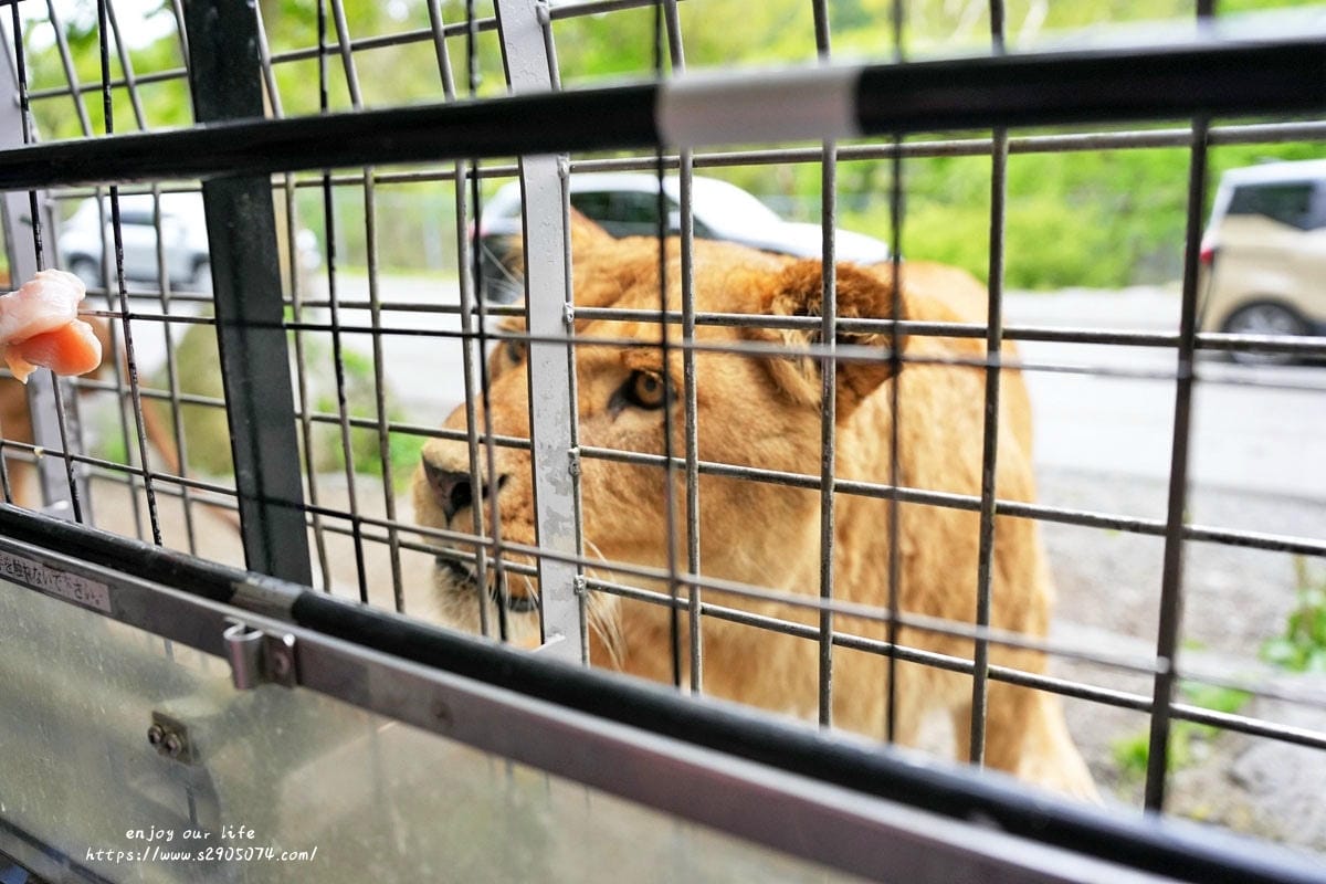 富士動物園DSC06344.jpg 富士動物園DSC06344.jpg