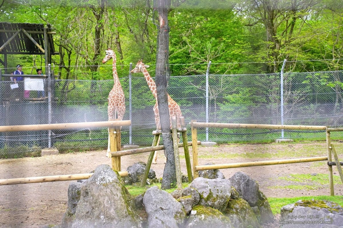富士動物園DSC06403.jpg 富士動物園DSC06403.jpg