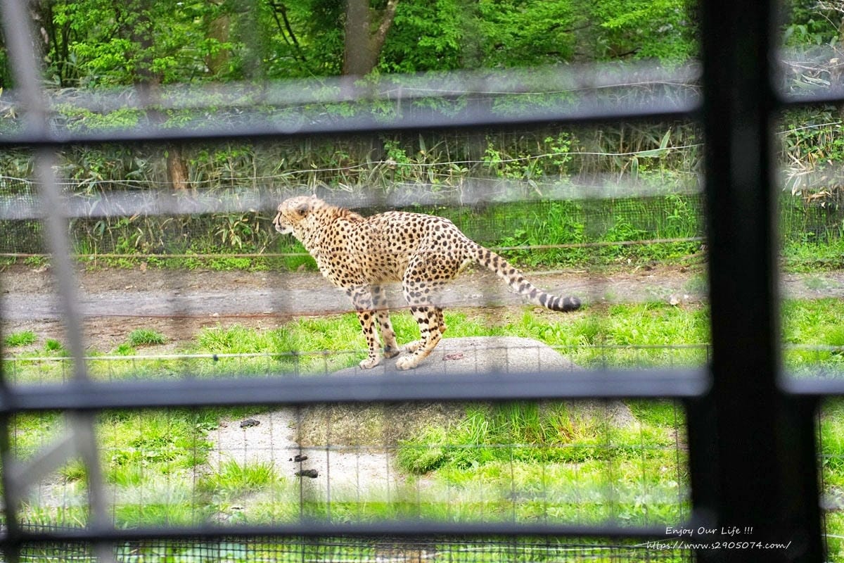 富士動物園DSC06371.jpg 富士動物園DSC06371.jpg
