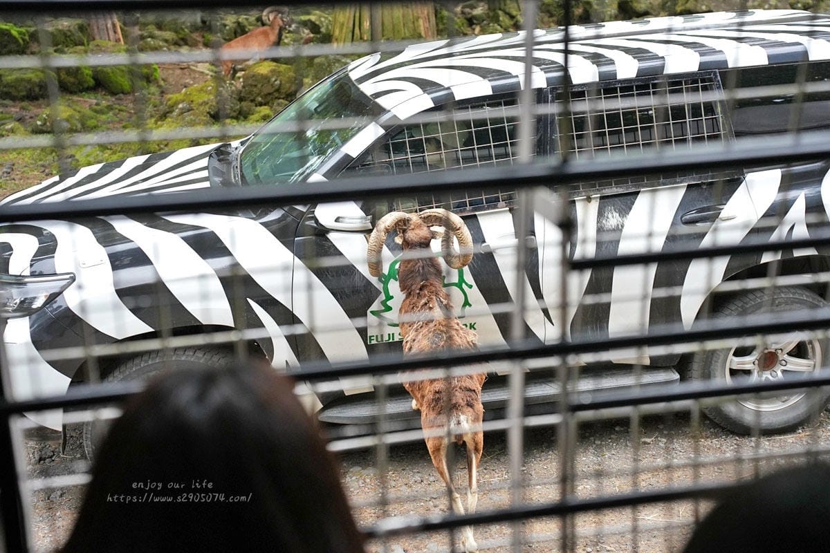 富士動物園DSC06439.jpg 富士動物園DSC06439.jpg