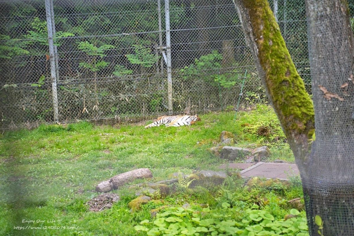 富士動物園DSC06352.jpg 富士動物園DSC06352.jpg