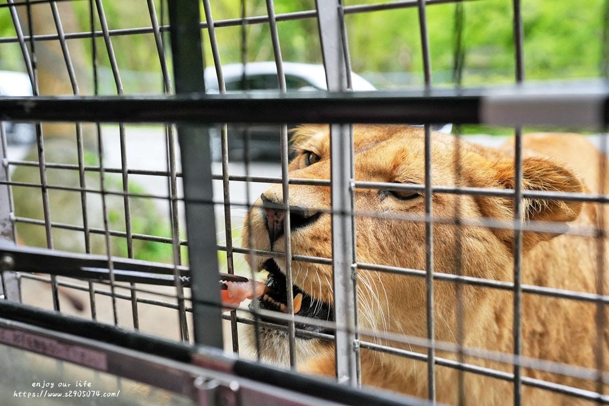 富士動物園DSC06339.jpg 富士動物園DSC06339.jpg