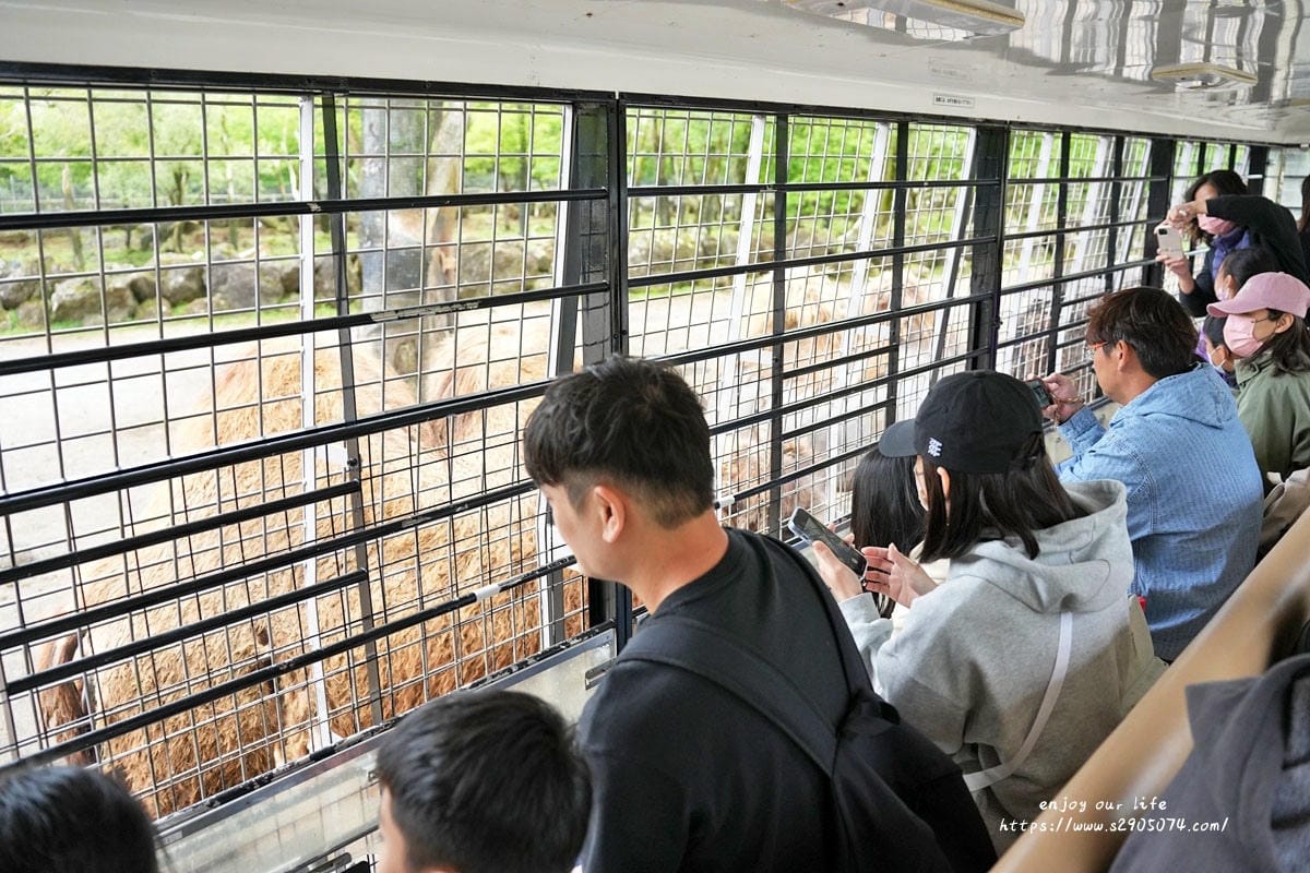 富士動物園DSC06422.jpg 富士動物園DSC06422.jpg
