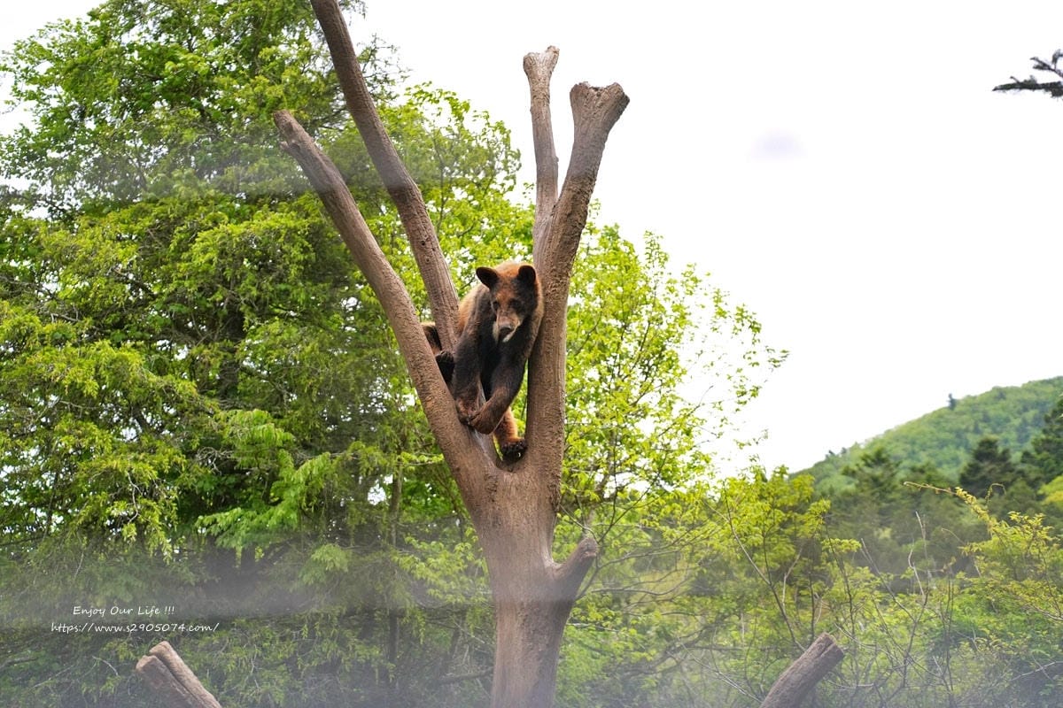 富士動物園DSC06321.jpg 富士動物園DSC06321.jpg