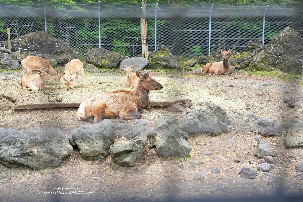 富士動物園DSC06431.jpg 富士動物園DSC06431.jpg