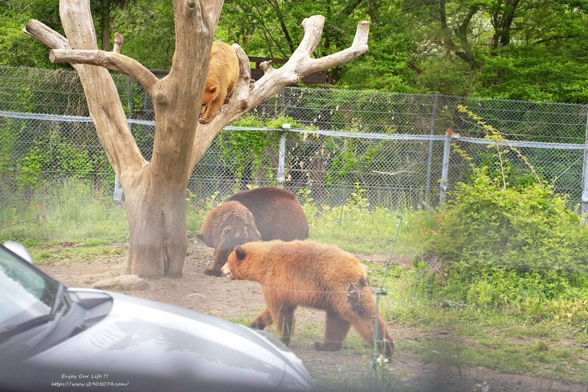 富士動物園DSC06330.jpg 富士動物園DSC06330.jpg