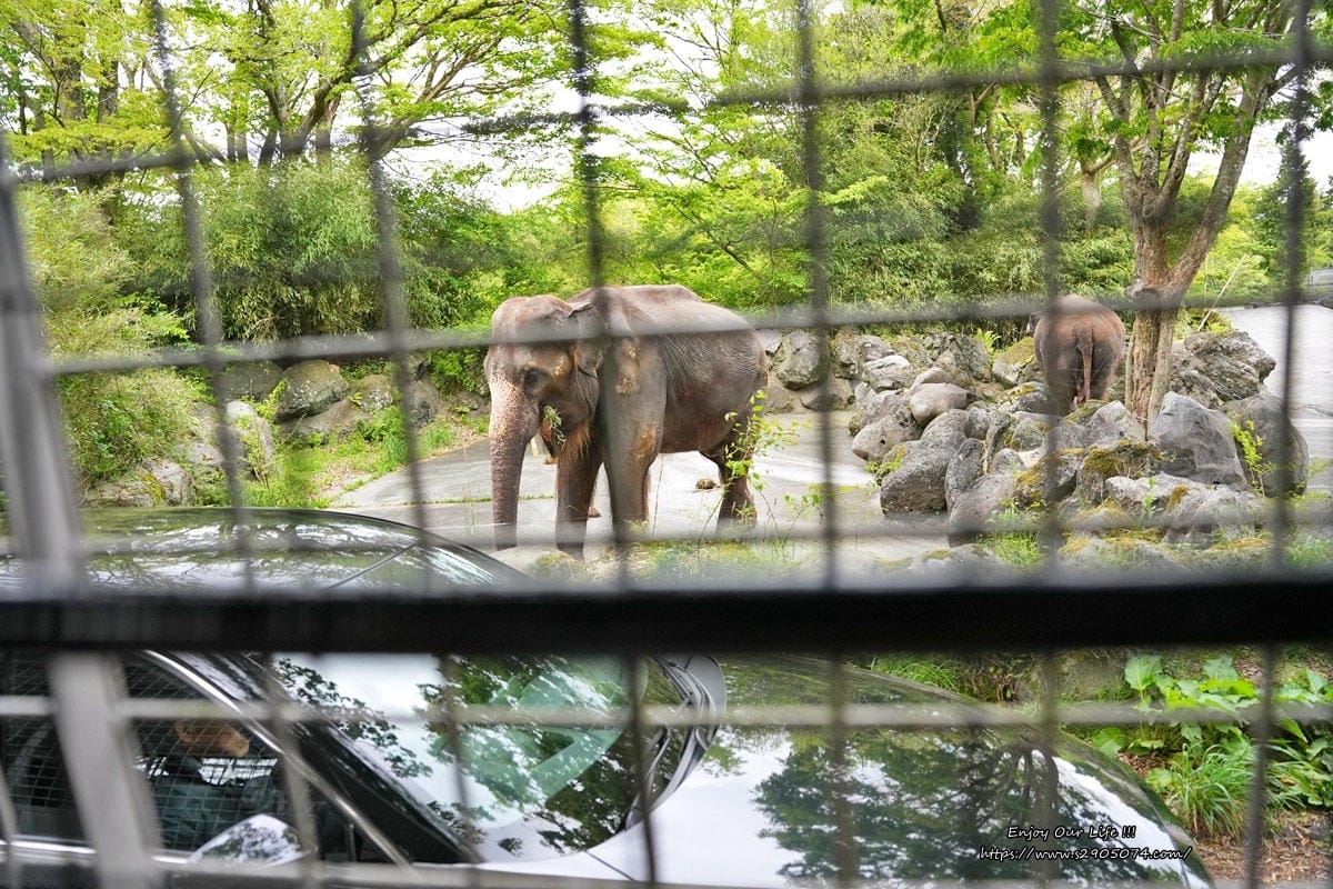 富士動物園DSC06374.jpg 富士動物園DSC06374.jpg