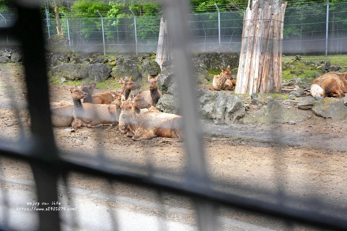 富士動物園DSC06435.jpg 富士動物園DSC06435.jpg