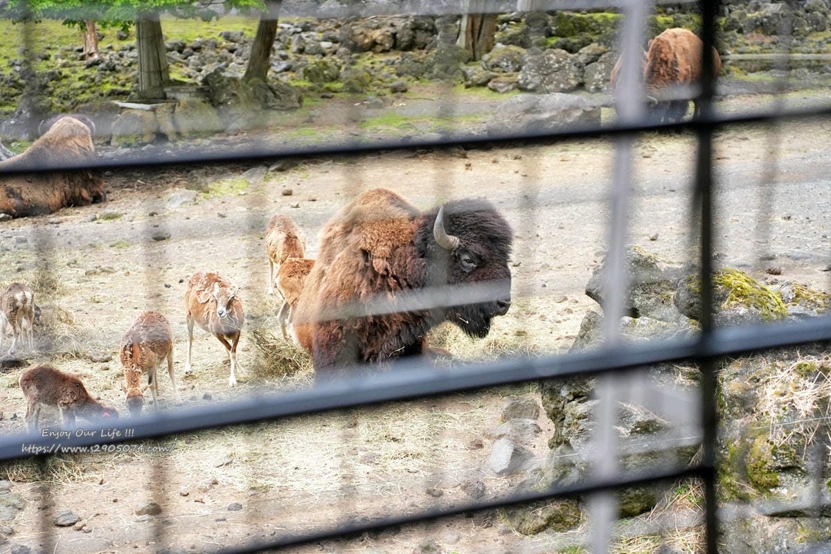 富士動物園DSC06451.jpg 富士動物園DSC06451.jpg