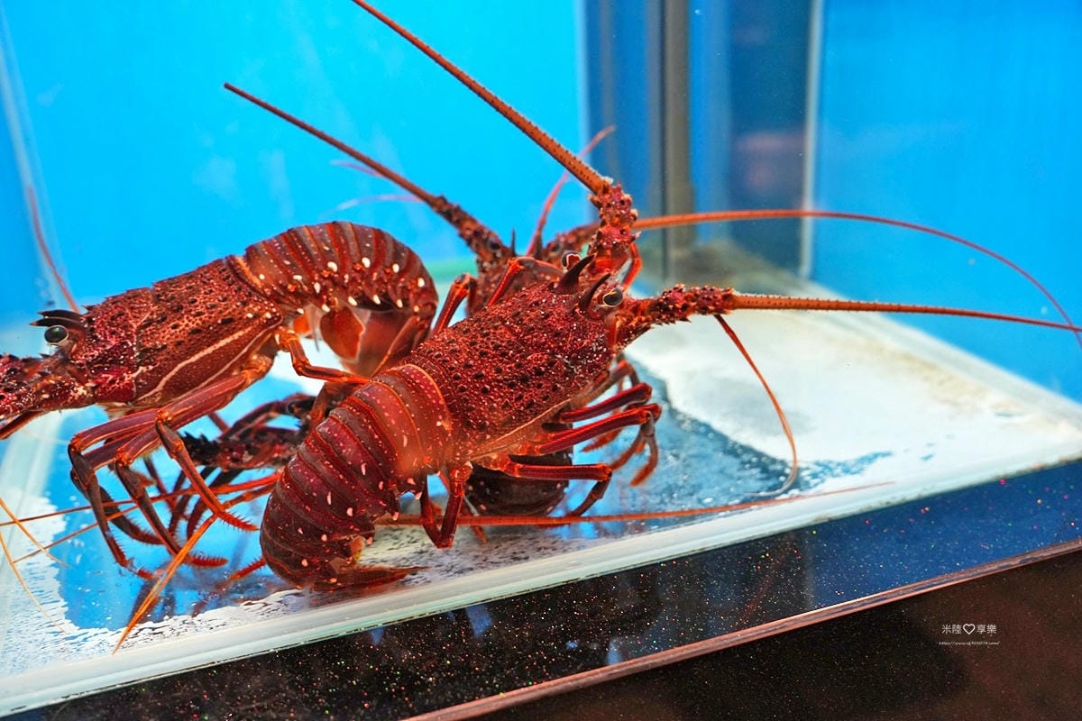 高雄-銅花精緻涮涮鍋 (美術館店)➤無法取代的地位 高雄-銅花精緻涮涮鍋 (美術館店)➤無法取代的地位