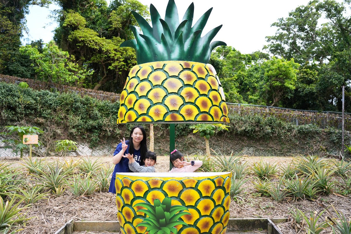 沖繩-沖繩世界文化王國（玉泉洞、傳統工藝、熱帶水果王國、毒蛇