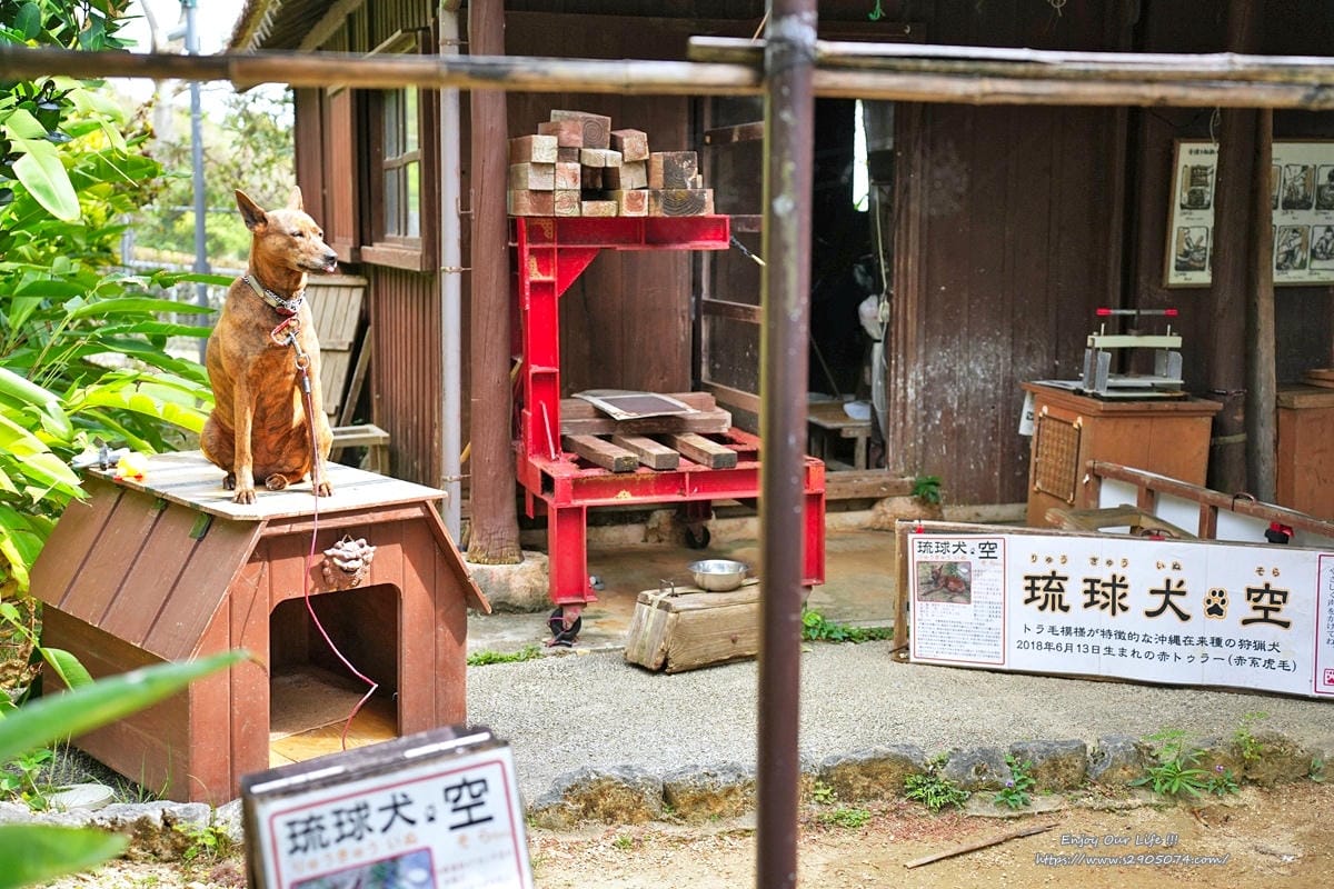 沖繩-沖繩世界文化王國（玉泉洞、傳統工藝、熱帶水果王國、毒蛇