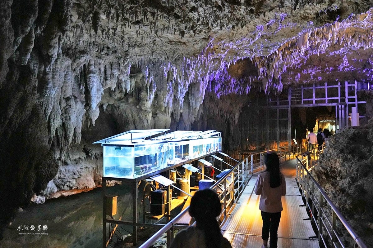 沖繩-沖繩世界文化王國（玉泉洞、傳統工藝、熱帶水果王國、毒蛇