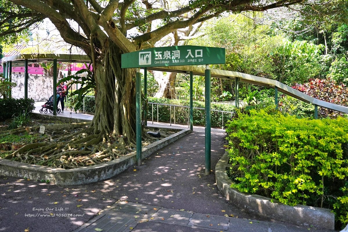 沖繩-沖繩世界文化王國（玉泉洞、傳統工藝、熱帶水果王國、毒蛇