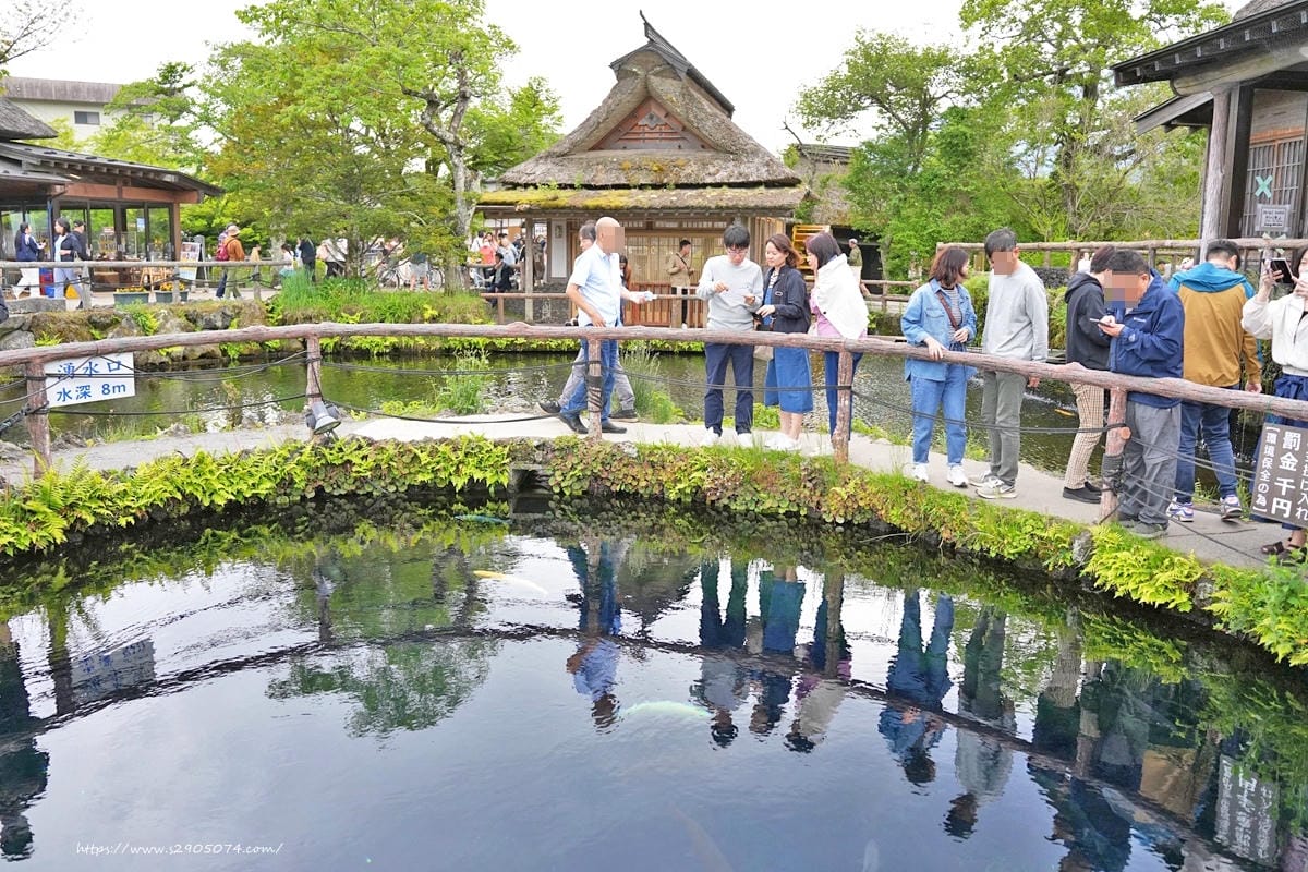 【日本河口湖】仁野八海✔世界遺產✔自然美景✔日式糰子、大栗子 【日本河口湖】仁野八海✔世界遺產✔自然美景✔日式糰子、大栗子