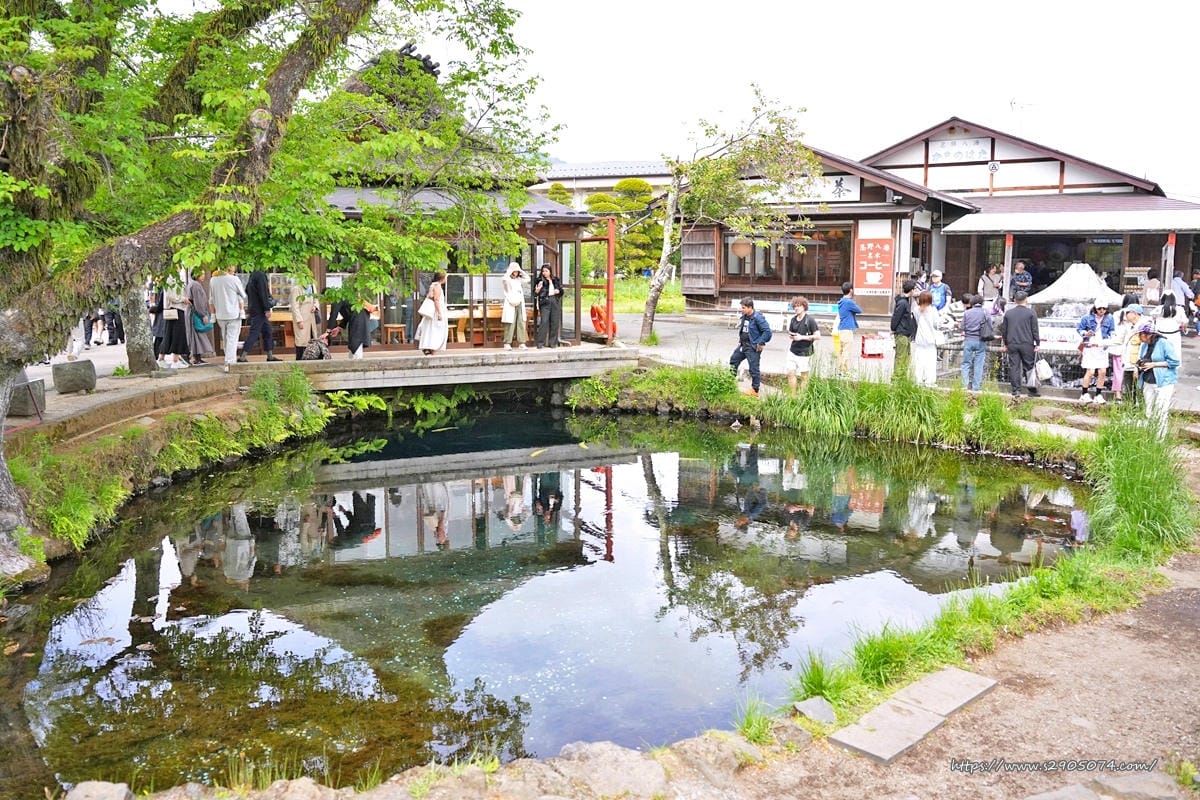 【日本河口湖】仁野八海✔世界遺產✔自然美景✔日式糰子、大栗子 【日本河口湖】仁野八海✔世界遺產✔自然美景✔日式糰子、大栗子