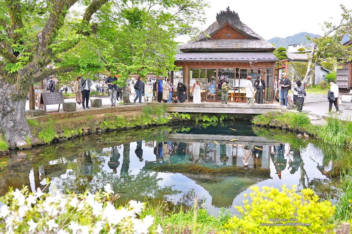 【日本河口湖】仁野八海✔世界遺產✔自然美景✔日式糰子、大栗子 【日本河口湖】仁野八海✔世界遺產✔自然美景✔日式糰子、大栗子