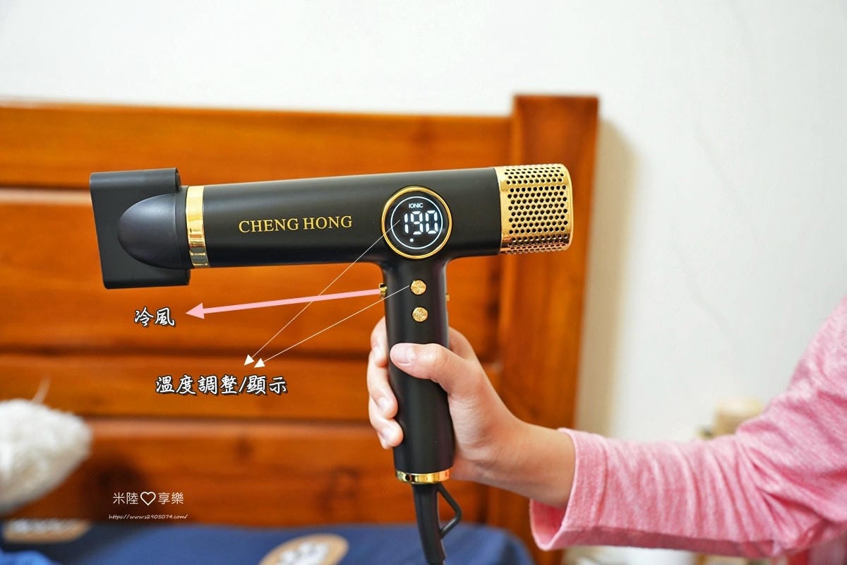 CHENG HONG 沙龍級專業負離子吹風機CHENG HO CHENG HONG 沙龍級專業負離子吹風機CHENG HO
