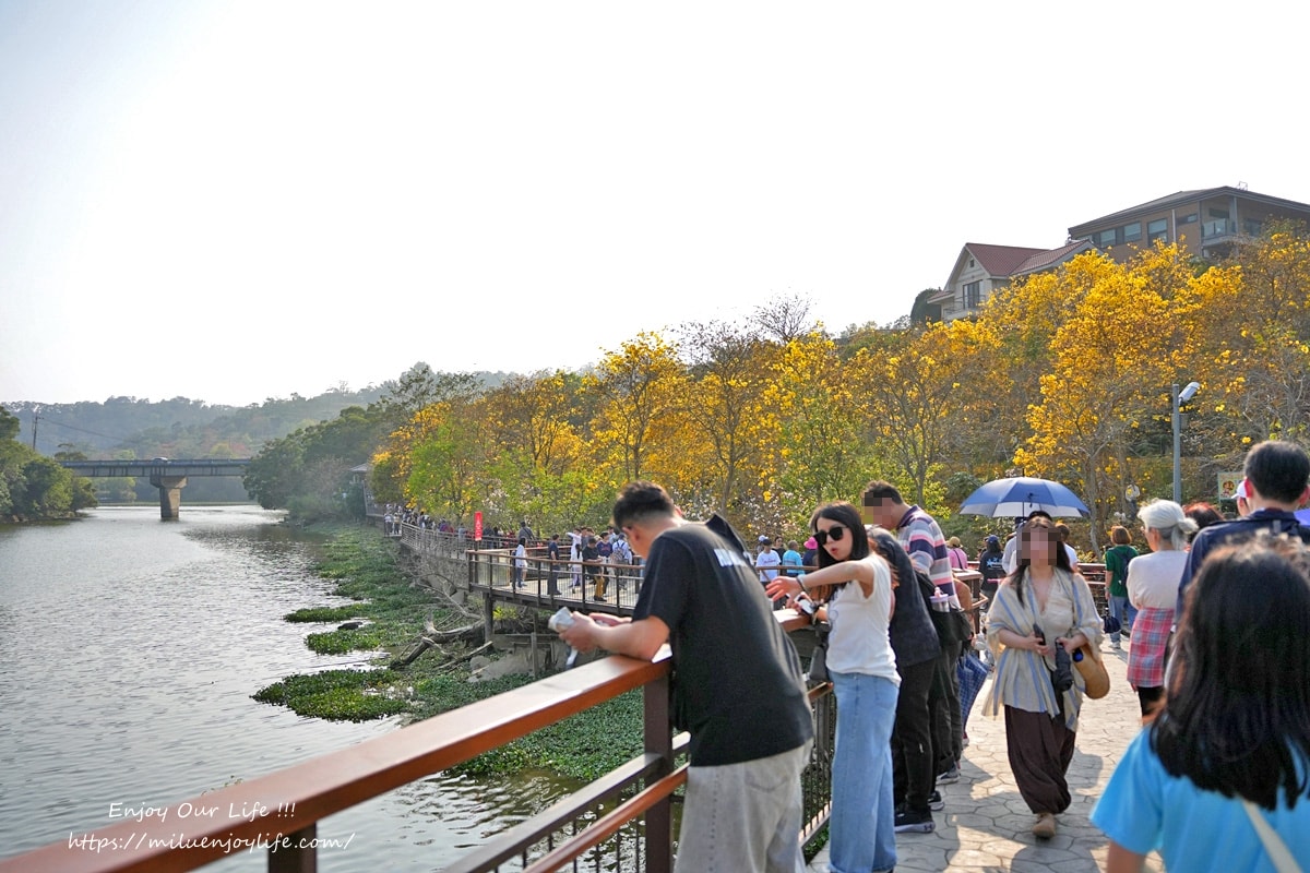 新竹縣峨眉鄉-峨眉湖環湖步道、大自然文化世 - 第23張圖 新竹縣峨眉鄉-峨眉湖環湖步道、大自然文化世