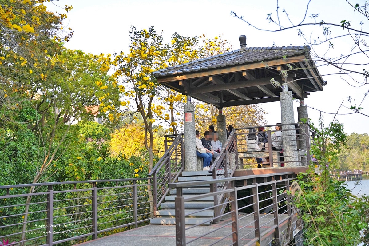 新竹縣峨眉鄉-峨眉湖環湖步道、大自然文化世 - 第33張圖 新竹縣峨眉鄉-峨眉湖環湖步道、大自然文化世