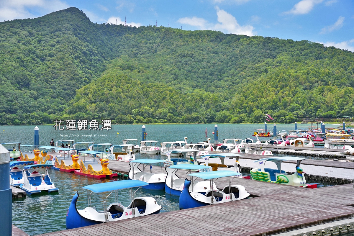 花蓮壽豐鄉-鯉魚潭|航海王千陽號登陸|
